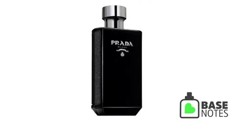 prada l homme intense basenotes